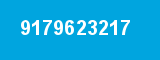 9179623217 9179623217
