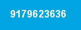 9179623636 9179623636
