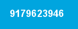 9179623946 9179623946