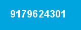 9179624301