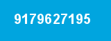 9179627195