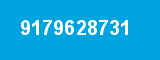 9179628731