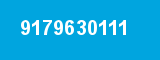 9179630111 9179630111