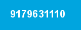 9179631110