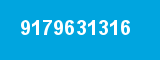 9179631316