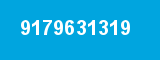 9179631319
