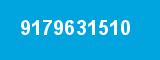 9179631510 9179631510