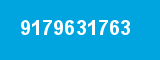 9179631763