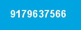 9179637566