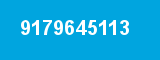 9179645113