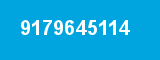 9179645114