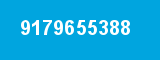 9179655388
