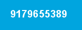 9179655389