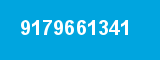 9179661341