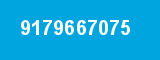 9179667075