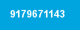 9179671143