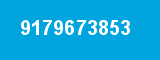 9179673853