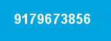 9179673856