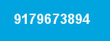 9179673894