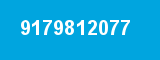9179812077