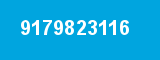 9179823116