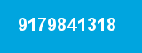 9179841318