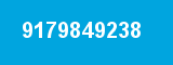 9179849238