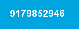 9179852946