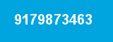 9179873463