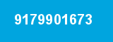 9179901673