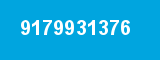 9179931376