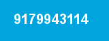 9179943114