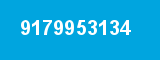9179953134