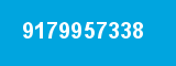 9179957338