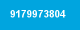 9179973804