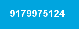 9179975124