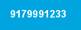 9179991233