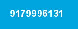 9179996131