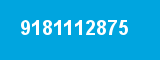 9181112875