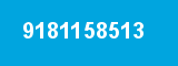 9181158513