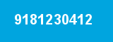 9181230412