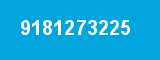 9181273225