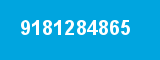 9181284865