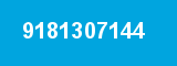 9181307144