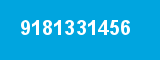 9181331456