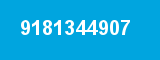 9181344907