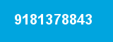 9181378843