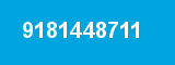 9181448711