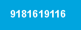 9181619116
