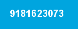 9181623073 9181623073